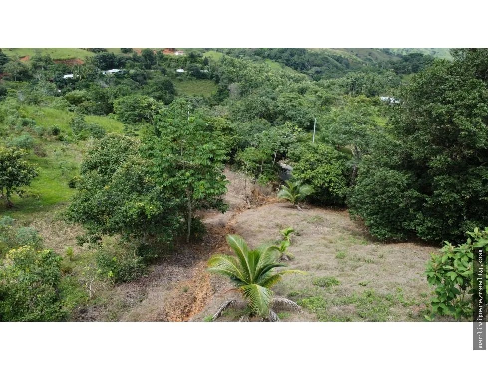 Venta de terreno en El Espavé, Tonosí