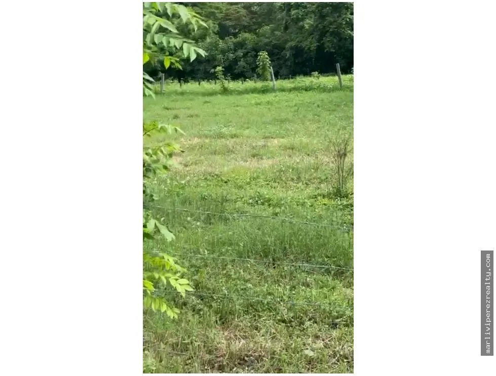 Venta de terreno en Guanico Abajo, Tonosí