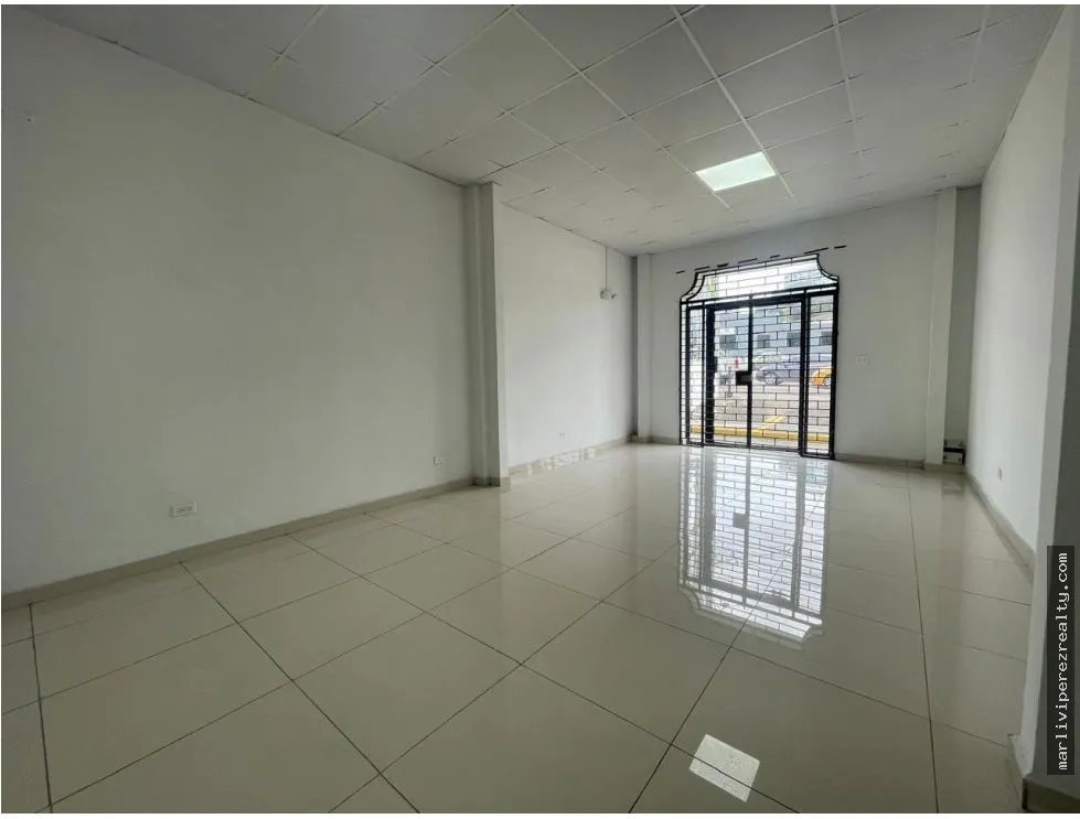 Venta de Plaza Comercial en Ernesto T. Lefevre