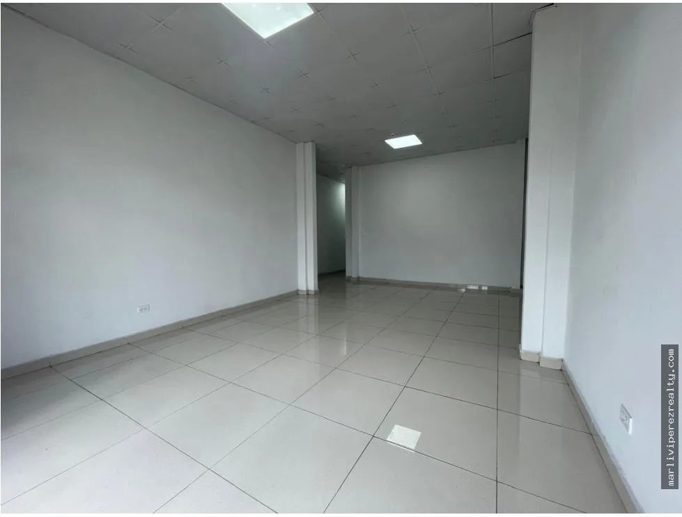 Venta de Plaza Comercial en Ernesto T. Lefevre