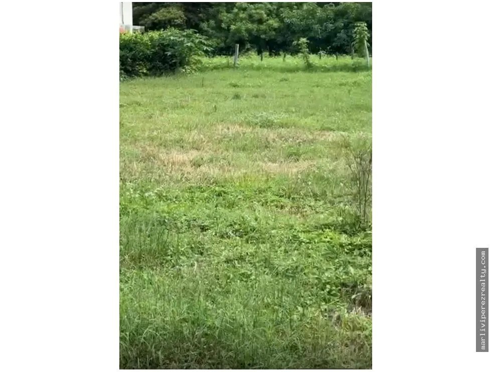 Building Lot for sale in Tonosi