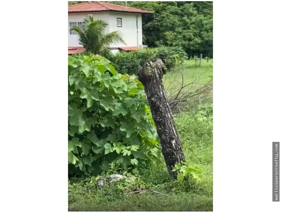 Building Lot for sale in Tonosi