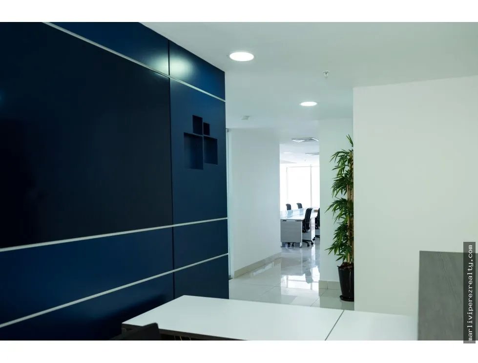 Office Rental on Avenida Balboa