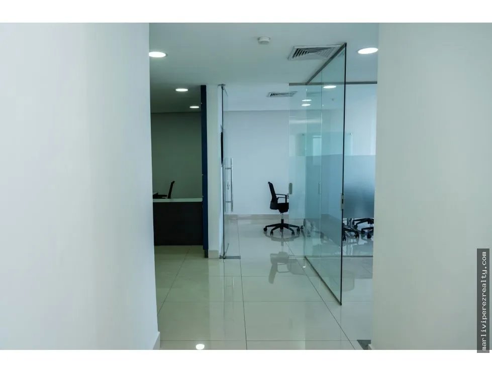 Office Rental on Avenida Balboa