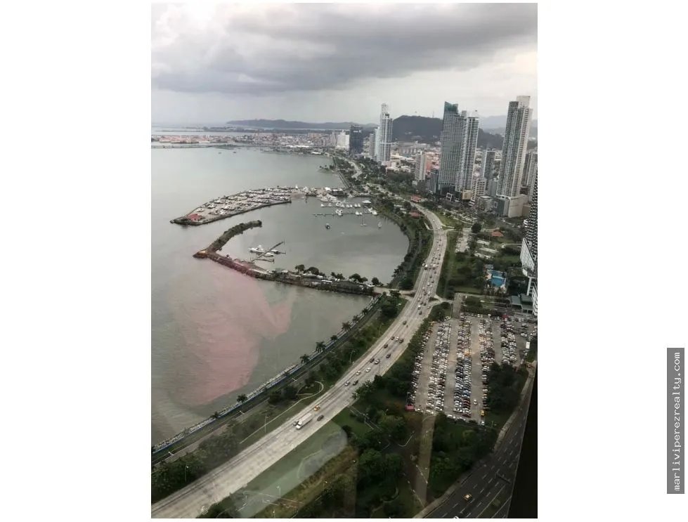Office Rental on Avenida Balboa