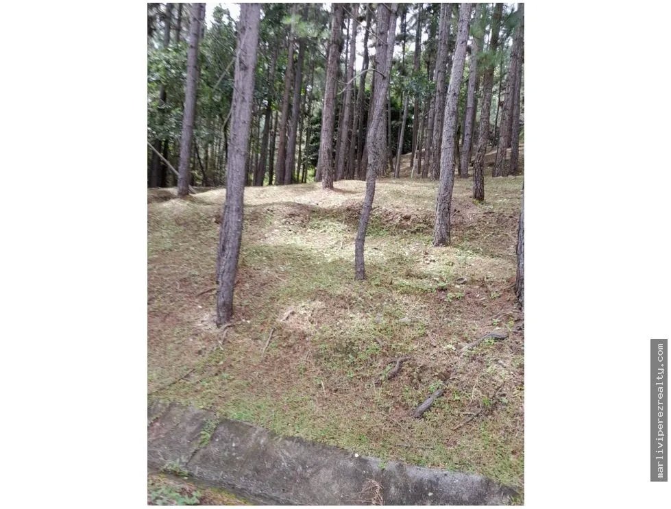 Land for Sale, Altos del María