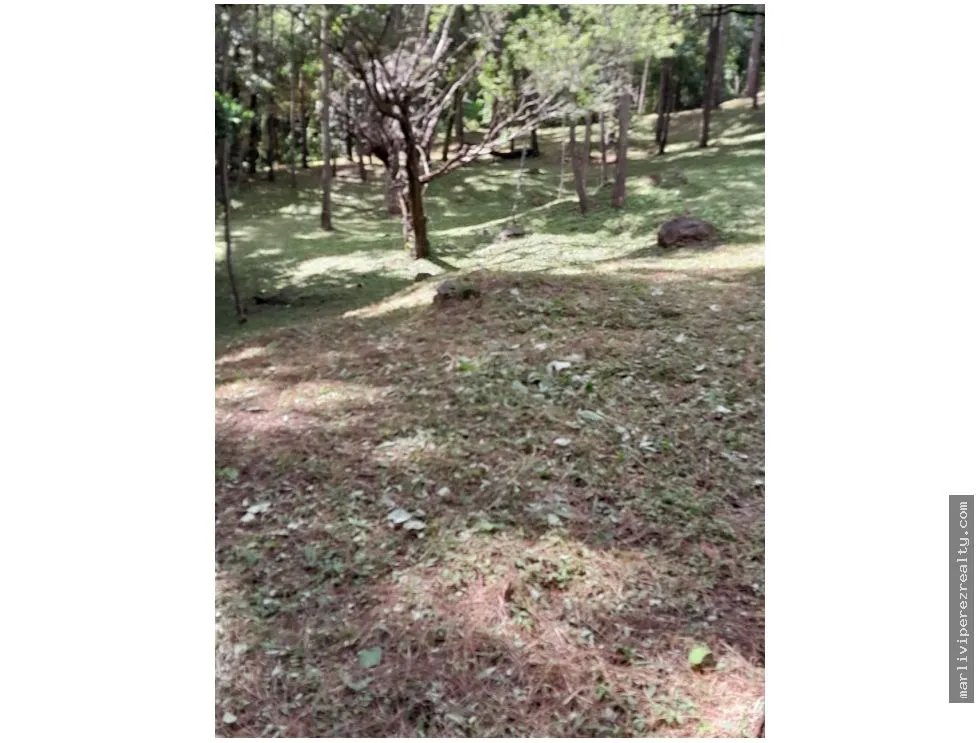 Land for Sale, Altos del María