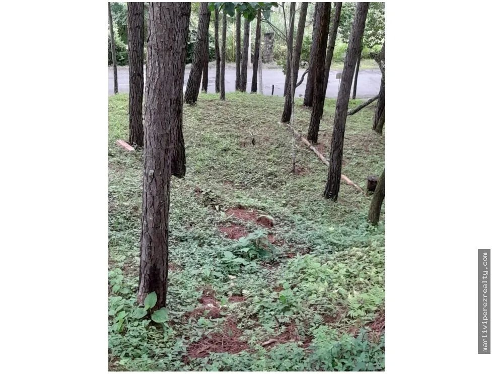 Land for Sale, Altos del María