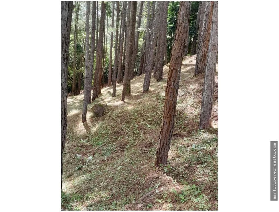 Land for Sale, Altos del María