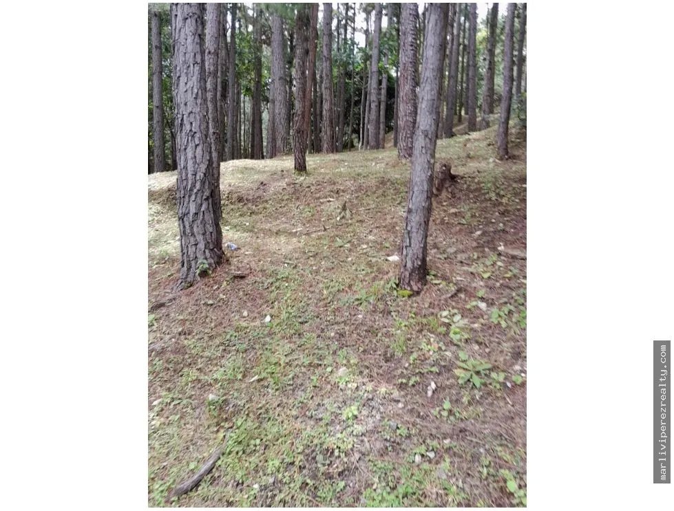 Land for Sale, Altos del María