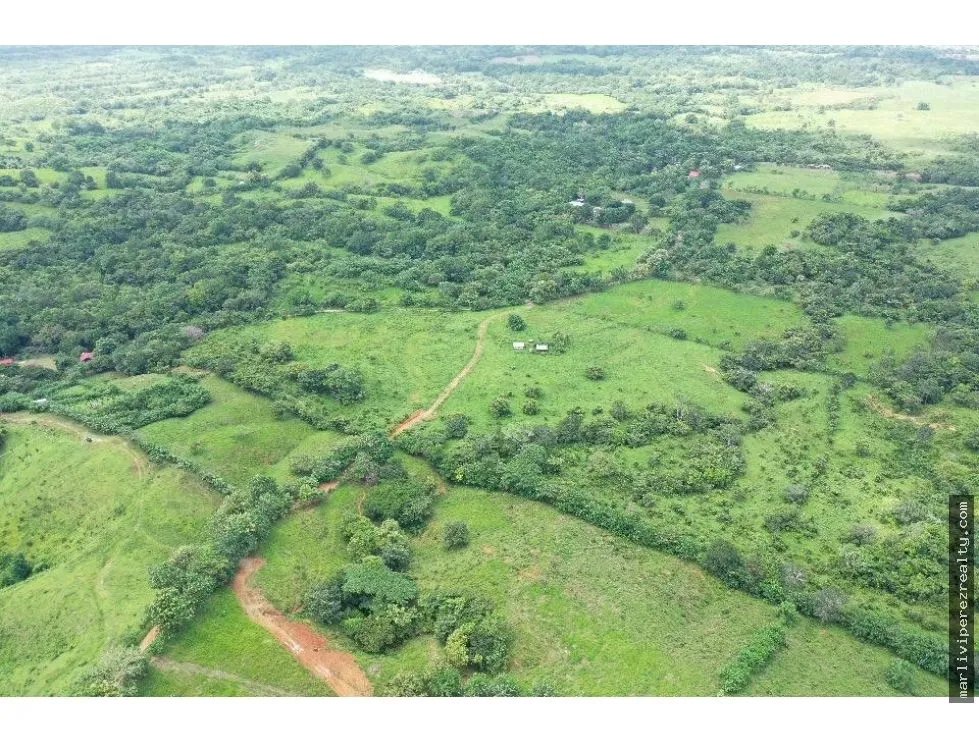Sale of Farm Property in Tanara, Chepo
