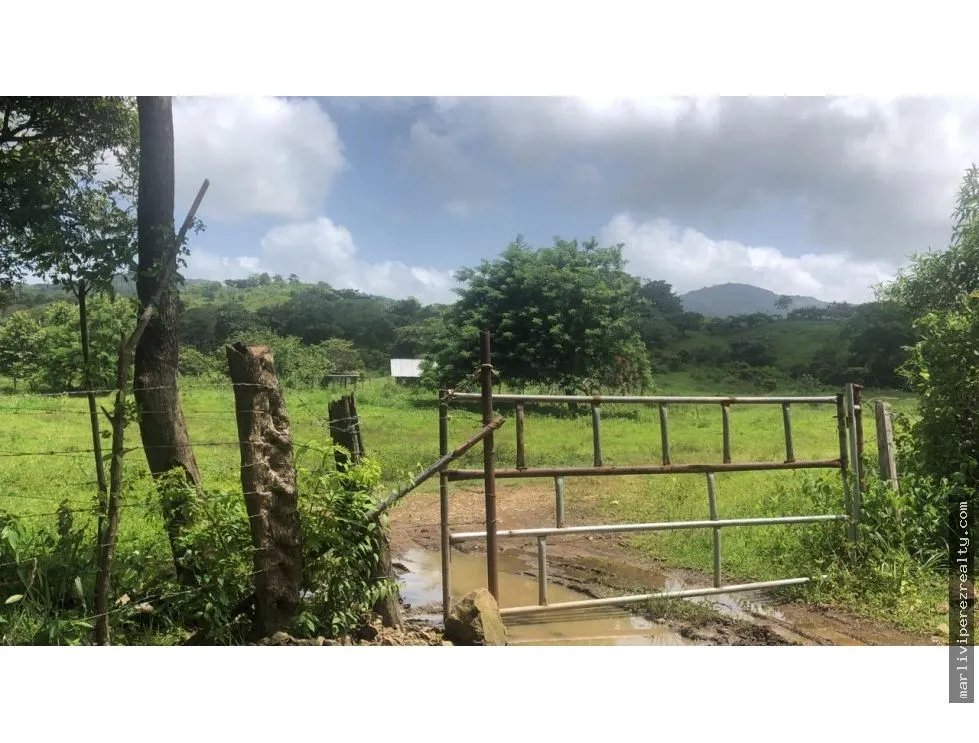 Sale of Farm Property in Tanara, Chepo