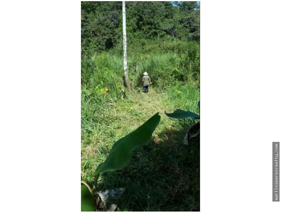 Land Sale in San Pablo Viejo Arriba, Chiriquí