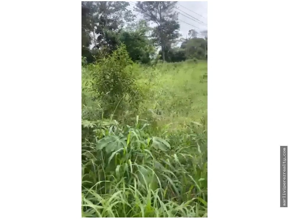 Land Sale in San Pablo Viejo Arriba, Chiriquí
