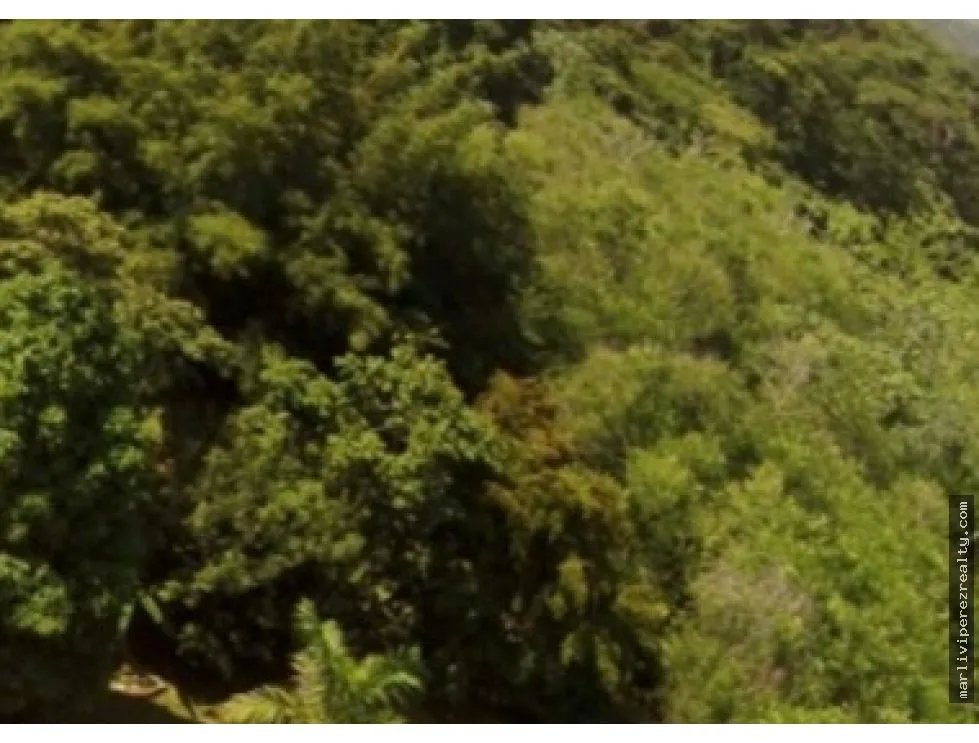 Land Sale in Bágala, Chiriquí