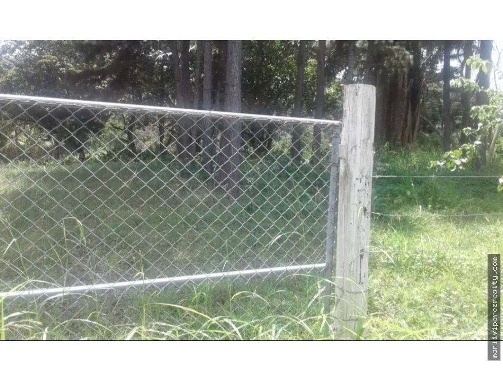 Land Sale in Capira, Pan-American Highway