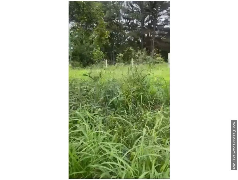 Land Sale in Capira, Pan-American Highway