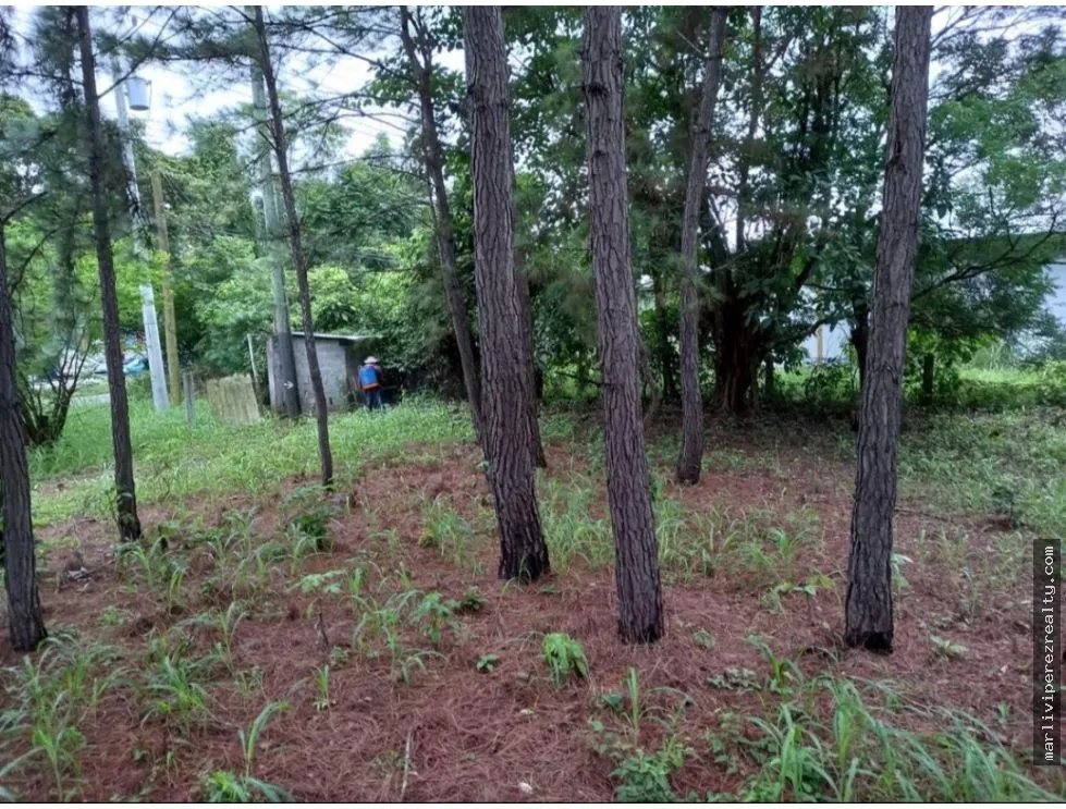 Land Sale in Capira, Pan-American Highway