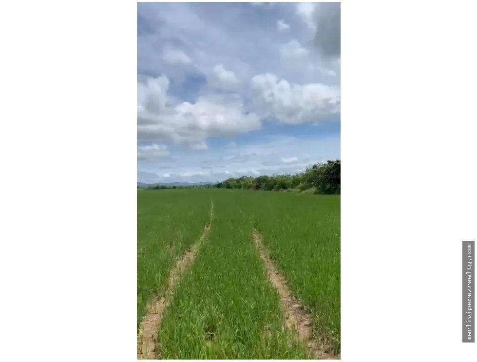 Venta de terreno en Antón, Carretera Panamericana