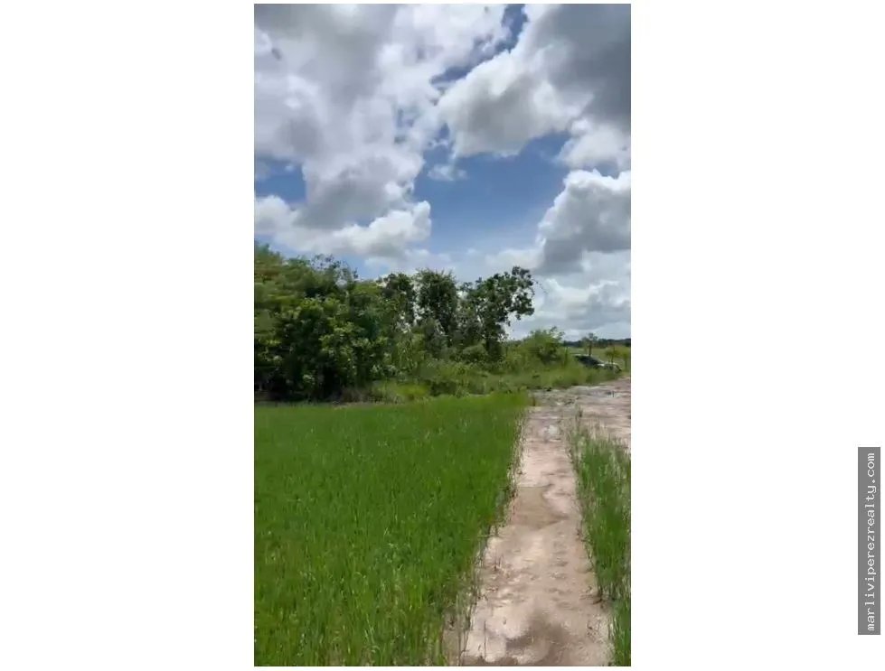 Venta de terreno en Antón, Carretera Panamericana