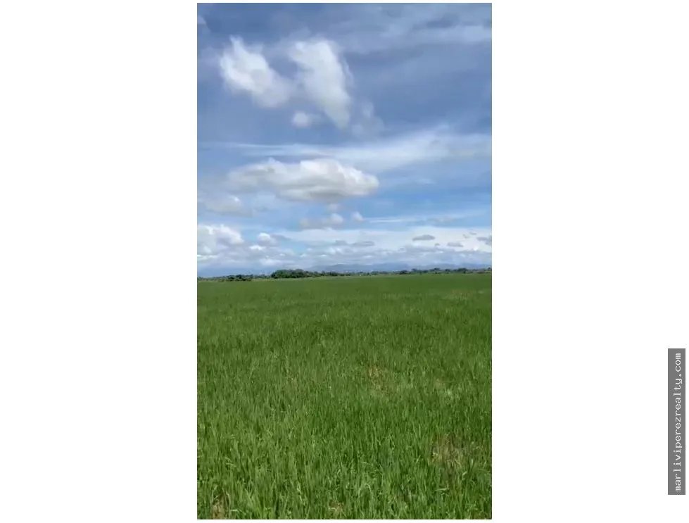 Venta de terreno en Antón, Carretera Panamericana
