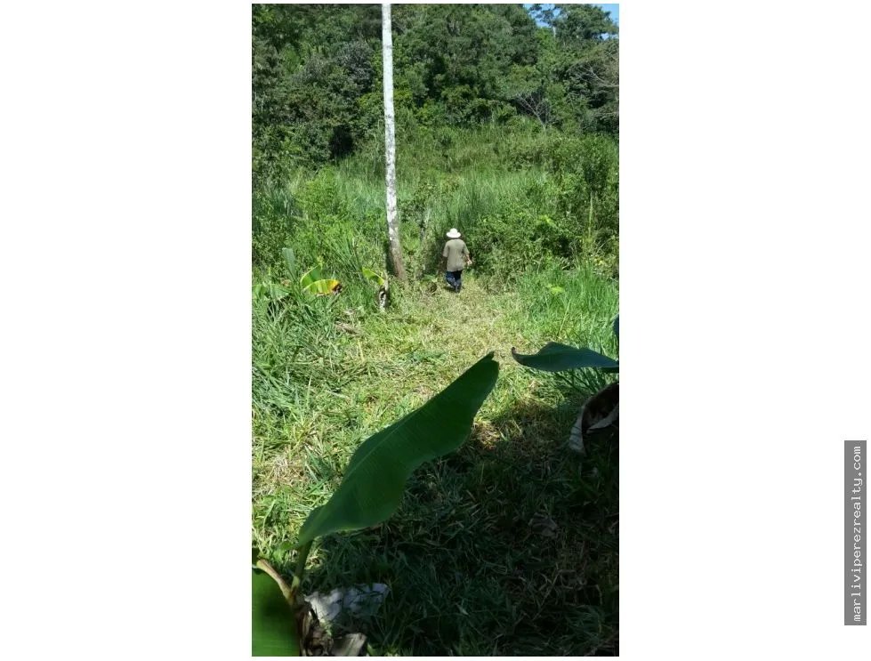 Oportunidad Venta de Terreno en El Lirio de La Chorrera