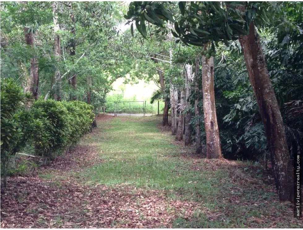 Oportunidad Venta de Terreno en El Lirio de La Chorrera