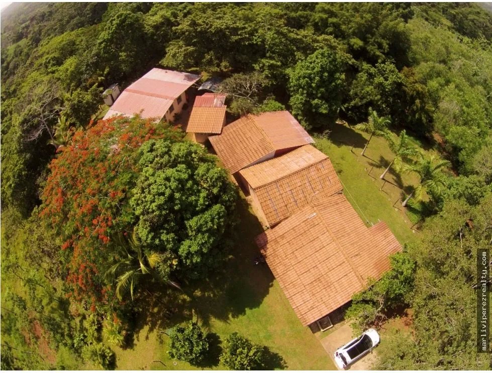 Oportunidad Venta de Terreno en El Lirio de La Chorrera