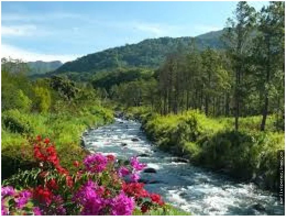 HOME FOR SALE LUXURY IN BOQUETE