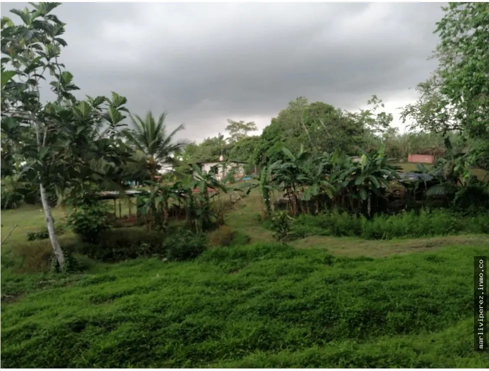 VENTA DE TERRENO CON CASA EN CHILIBRE, OPORTUNIDAD