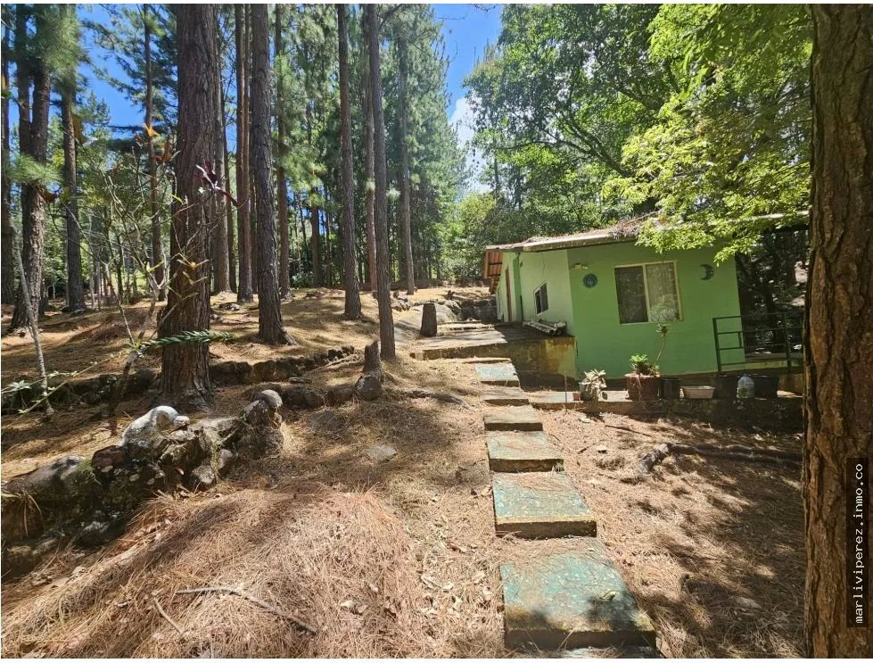 VENTA DE TERRENO CON CASA EN ALTOS DE MARIA