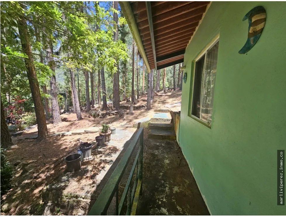 VENTA DE TERRENO CON CASA EN ALTOS DE MARIA