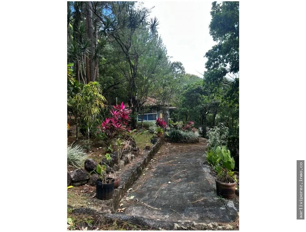 VENTA DE TERRENO EN ALTOS DE MARIA