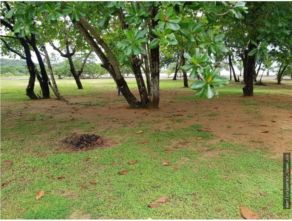 VENTA DE TERRENO EN COLON, NOMBRE DE DIOS