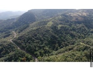 VENTA DE TERRENO EN ALTOS DE MARIA