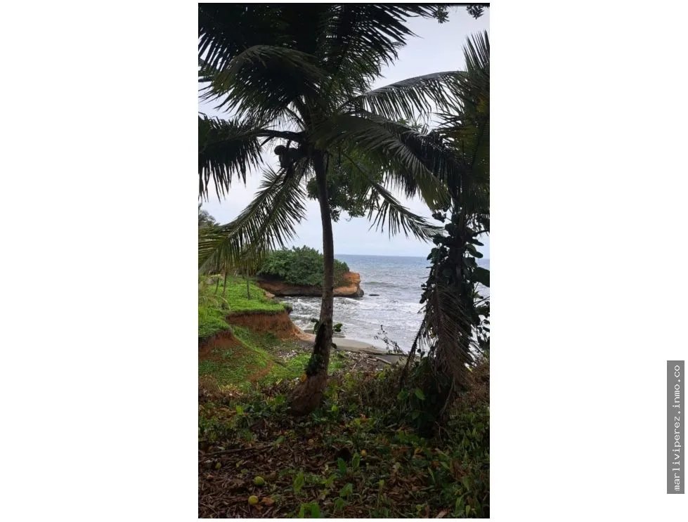 VENTA DE TERRENO DE PLAYA EN COLON PALMAS BELLAS