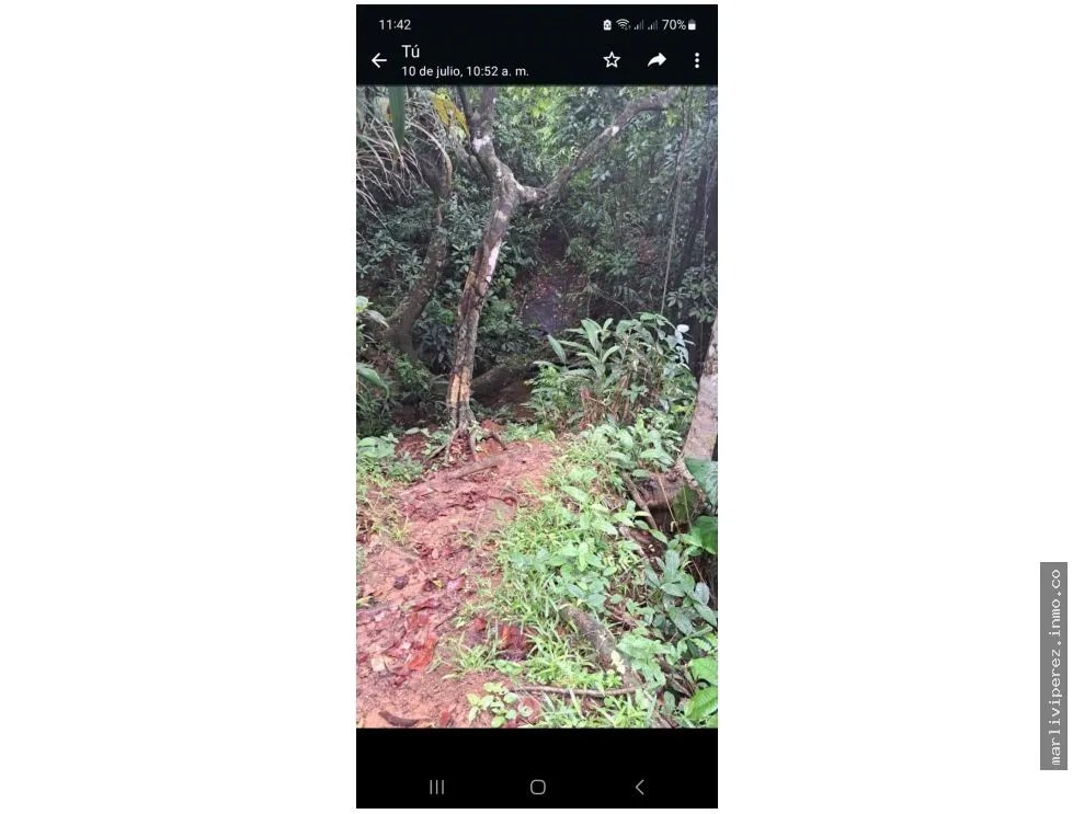 VENTA DE TERRENO DE PLAYA EN COLON PALMAS BELLAS