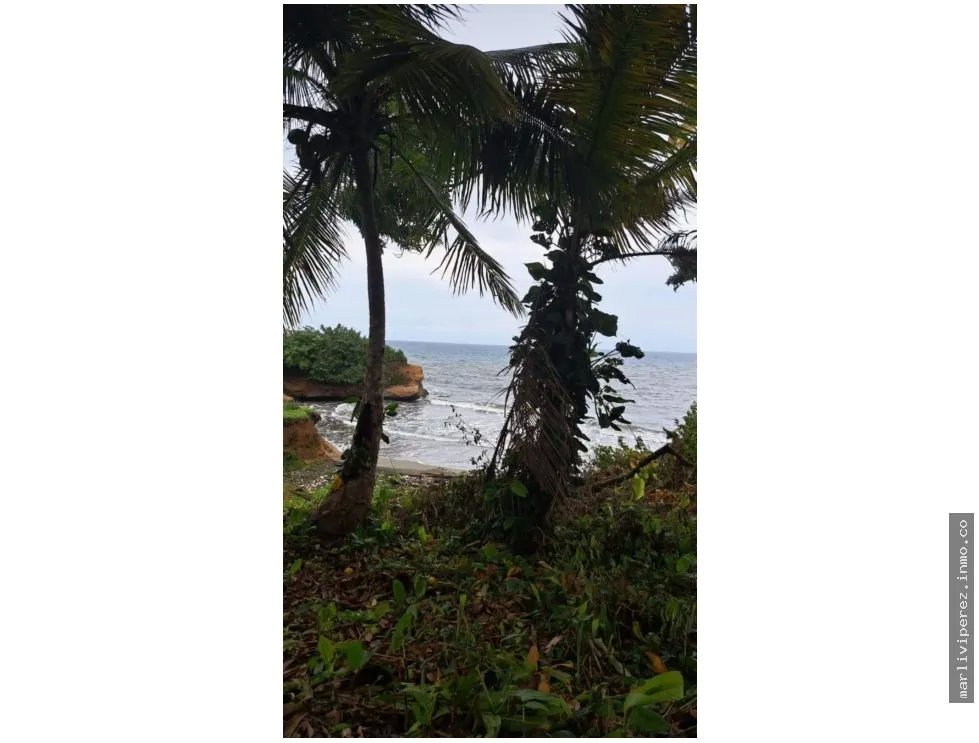 VENTA DE TERRENO DE PLAYA EN COLON PALMAS BELLAS