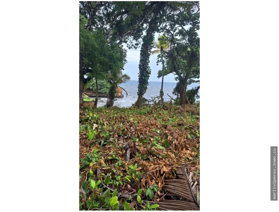VENTA DE TERRENO DE PLAYA EN COLON PALMAS BELLAS