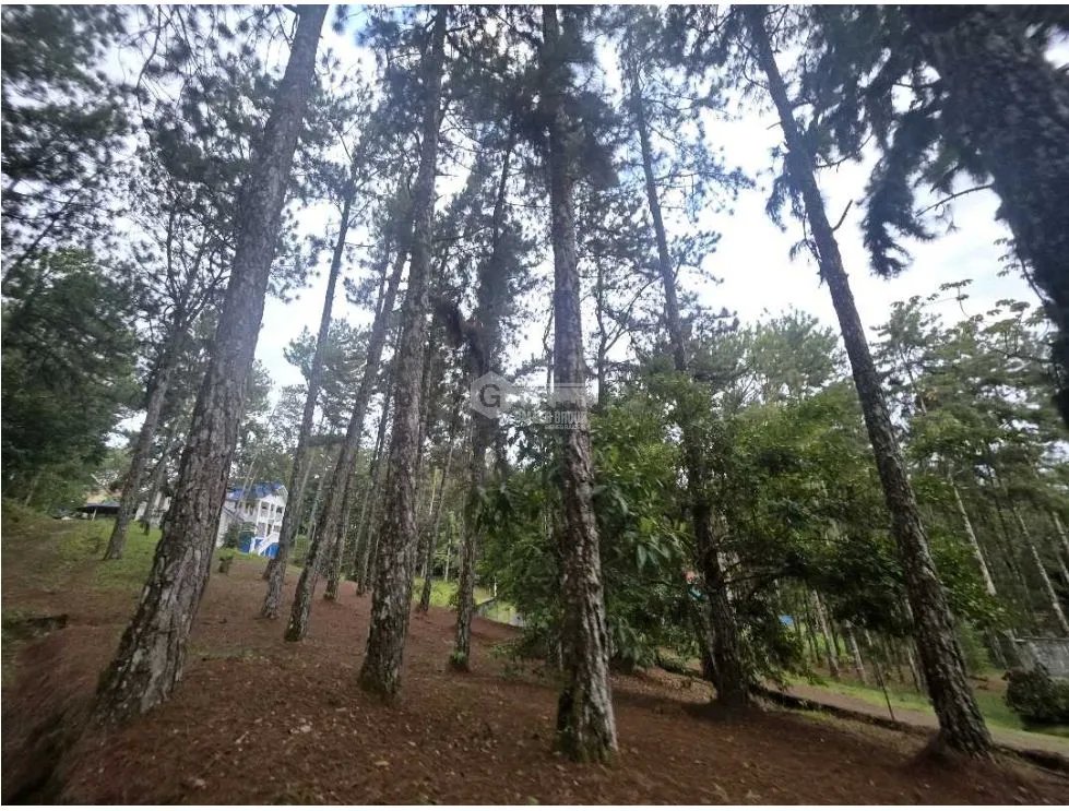 ALTOS DE CERRO AZUL / 3 HAB. / 3 BAÑOS / 2 PISOS