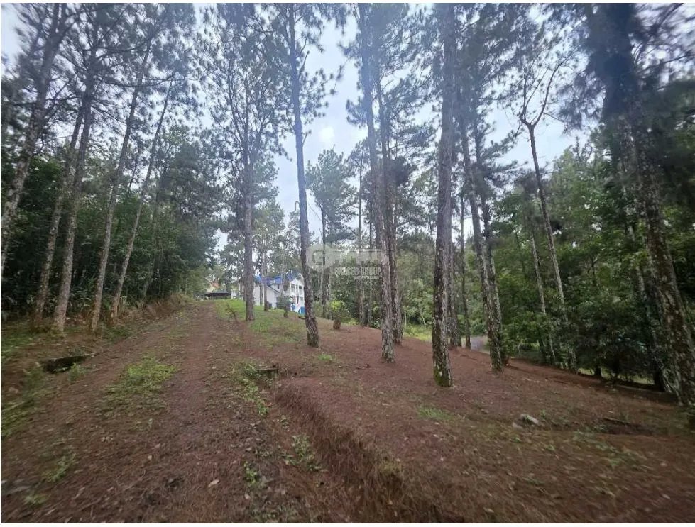 ALTOS DE CERRO AZUL / 3 HAB. / 3 BAÑOS / 2 PISOS