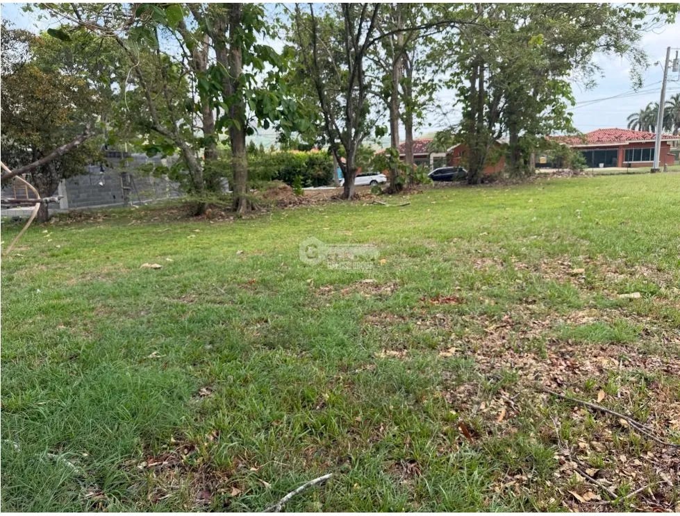 VENDO TERRENO CERCA DE PLAYA EN LA COLONIA DE CHAME 960M