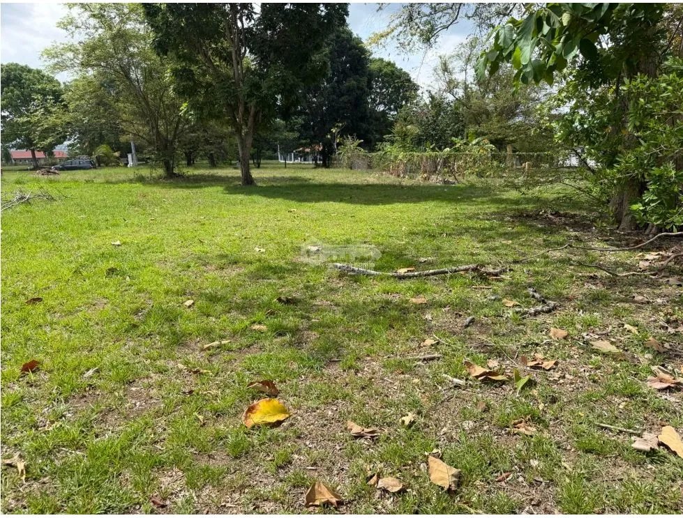 VENDO TERRENO CERCA DE PLAYA EN LA COLONIA DE CHAME 960M