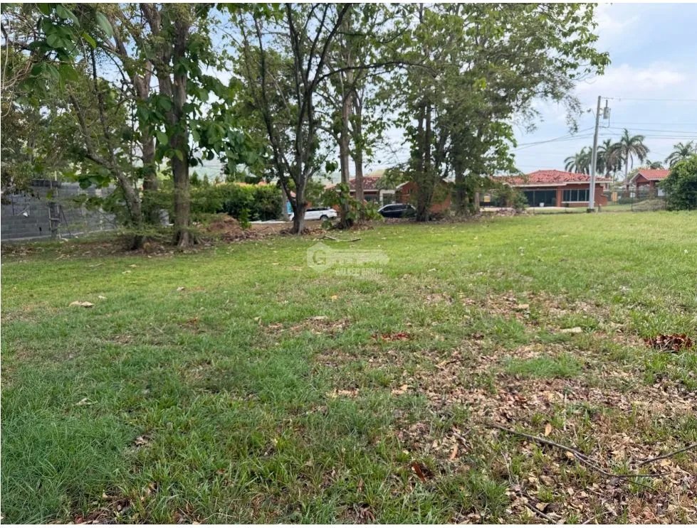 VENDO TERRENO CERCA DE PLAYA EN LA COLONIA DE CHAME 960M