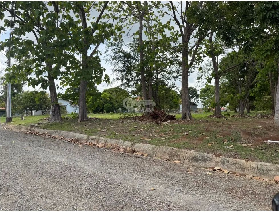 LAND / CHAME / 960 M2 / LA COLONIA DE CHAME / FLAT WITH SECURITY GATE