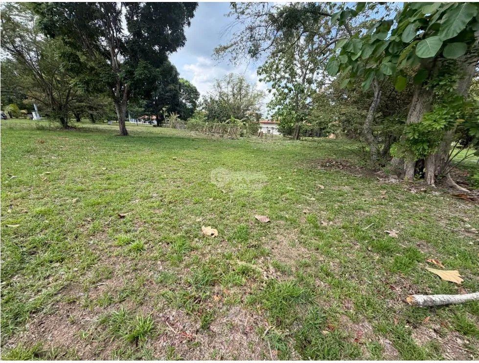 LAND / CHAME / 960 M2 / LA COLONIA DE CHAME / FLAT WITH SECURITY GATE