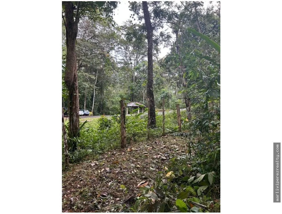 Farm for Sale in El Cacao, Capira, Panama Oeste
