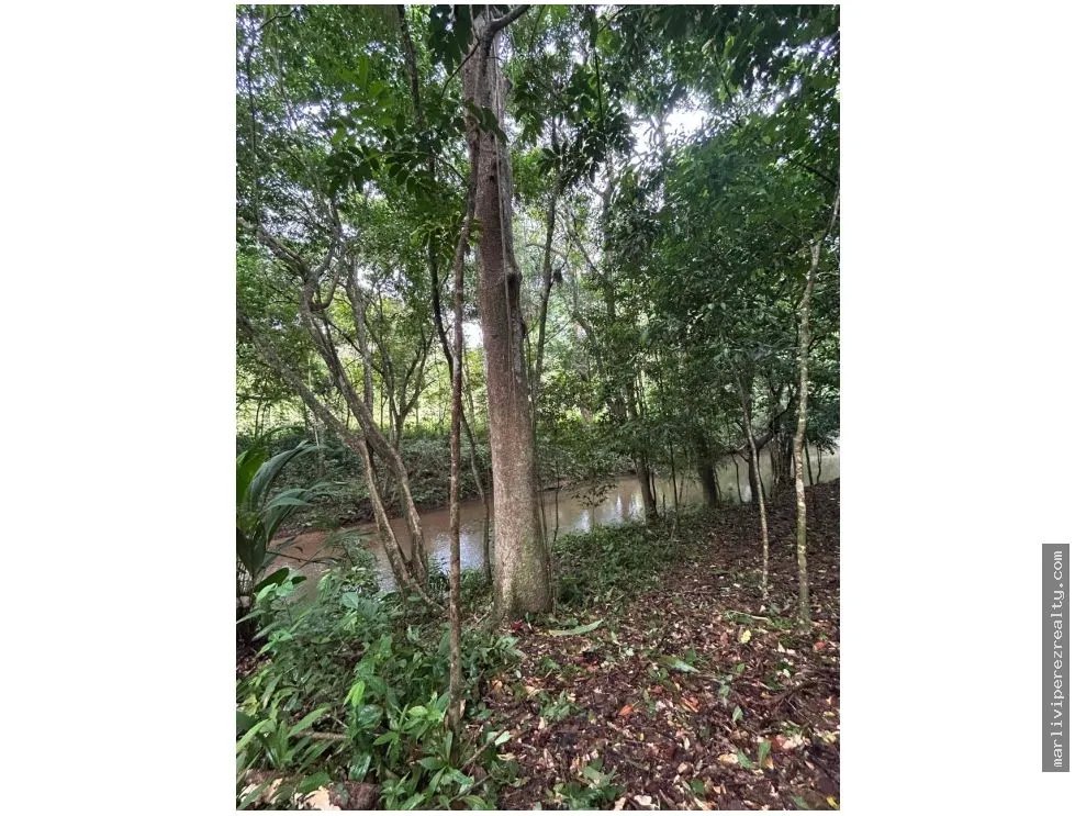 Farm for Sale in El Cacao, Capira, Panama Oeste