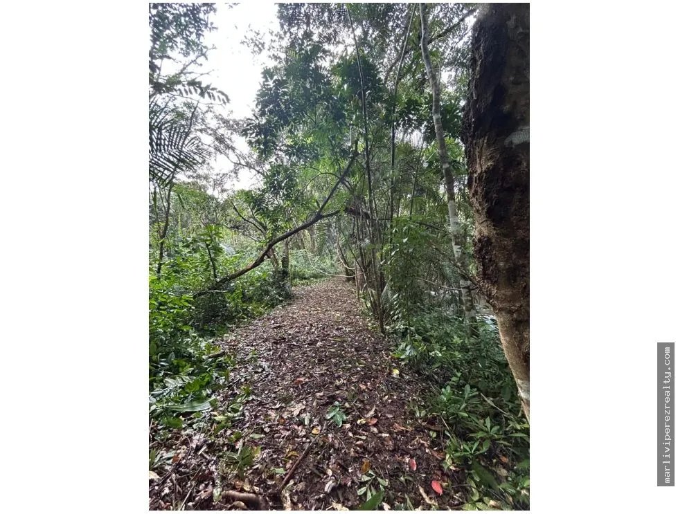 Farm for Sale in El Cacao, Capira, Panama Oeste