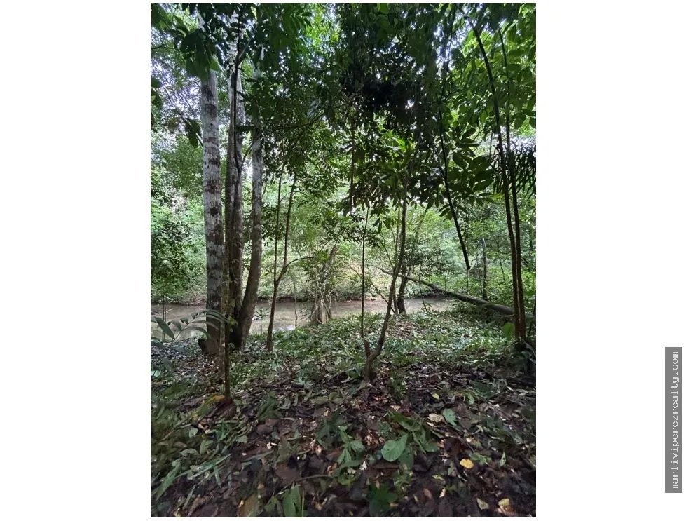 Farm for Sale in El Cacao, Capira, Panama Oeste